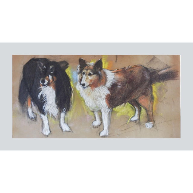 Vintage Pastel Painting Sheltie or Collie Dogs For Sale - Image 4 of 4