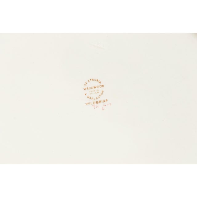 Wedgwood “Wild Briar” Ceramic Serving Platter For Sale In Tampa - Image 6 of 6