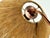 Metal Mid-Century Modern Model 33 Table Lamp in Teak and Copper from Temde Leuchten, Germany, 1960s For Sale - Image 7 of 18