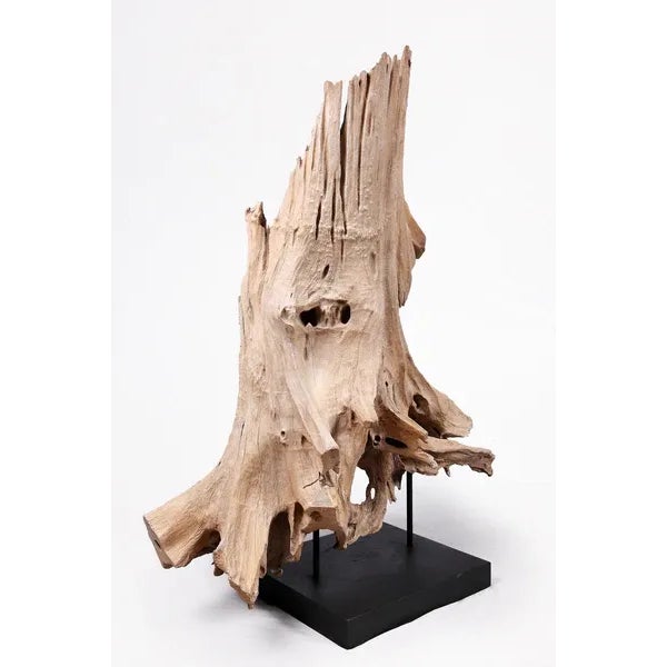 Organic Teak Root Sculpture- 53" Inch Tall For Sale In Boston - Image 6 of 6