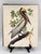 American 1964 Audubon Folio Lithograph Great Bird Paintings - "Brown Pelican" 17x14 For Sale - Image 3 of 6