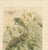 Gold P. J. Smit, Chameleons in Tropical Foliage, 1895, Color Lithograph For Sale - Image 8 of 10