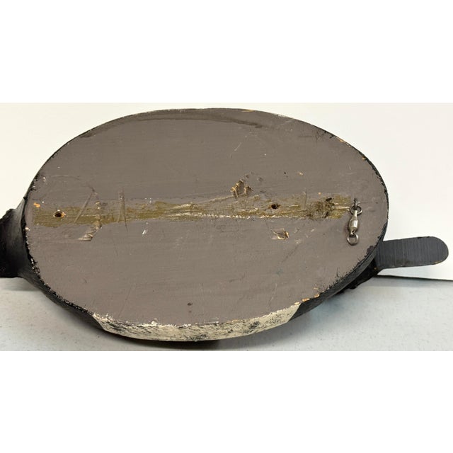 Folk Art American Hunting Decoy 'Patches' with Glass Eyes and Metal Link Latch For Sale - Image 3 of 12