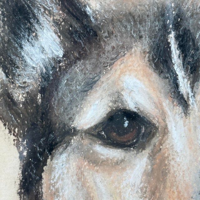Paint Original Vintage Dog Pastel Portrait For Sale - Image 7 of 12
