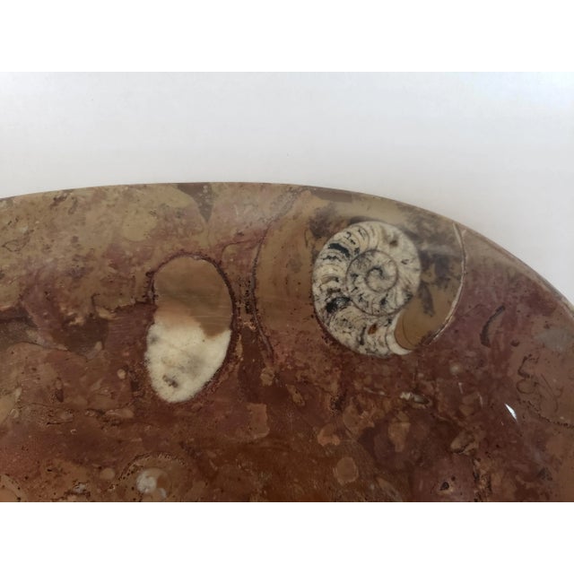 Oval Fossil Plate Dish For Sale In Philadelphia - Image 6 of 7