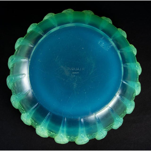 Parruches Cup in Peppermint by René Lalique, 1931 For Sale - Image 3 of 8