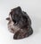 Brown 19th Century German Black Forest Carved Setter Head Architectural Fragment For Sale - Image 8 of 9