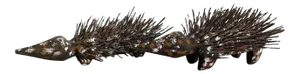 Australian Aboriginal Wood Sculpture Echidna - Pair