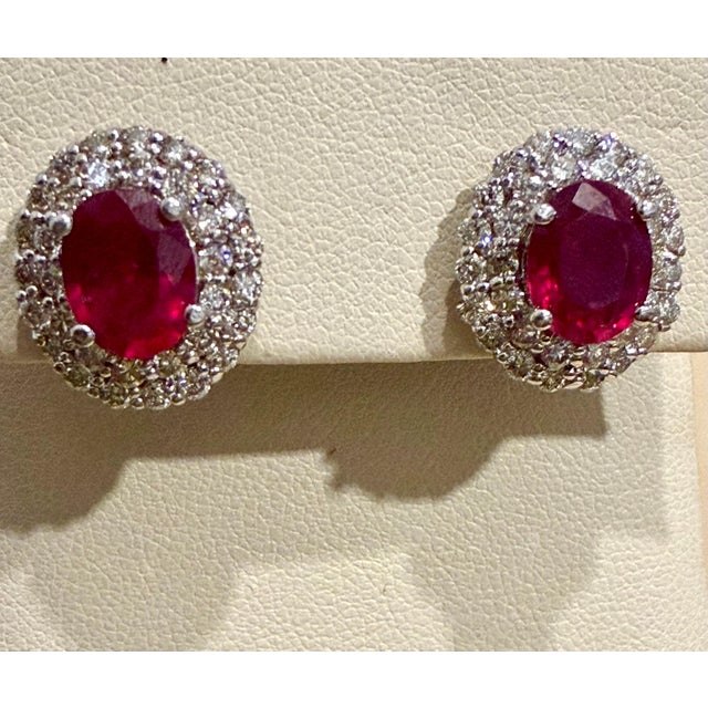 2020s 6 Ct Oval Treated Ruby & 2 Ct Double Halo Diamond Stud Earrings 14k White Gold For Sale - Image 5 of 8