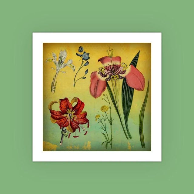 Realism Antique 'Lily & Iris' Archival Print For Sale - Image 3 of 3