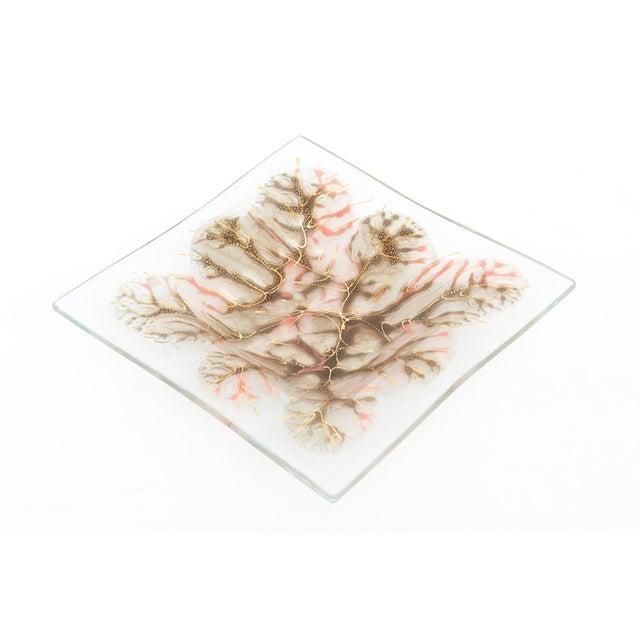 Mid-Century Modern Vintage Signed Higgins Fused Glass Square Tree Branches Bowl Brown, Coral, Gold MCM For Sale - Image 3 of 10