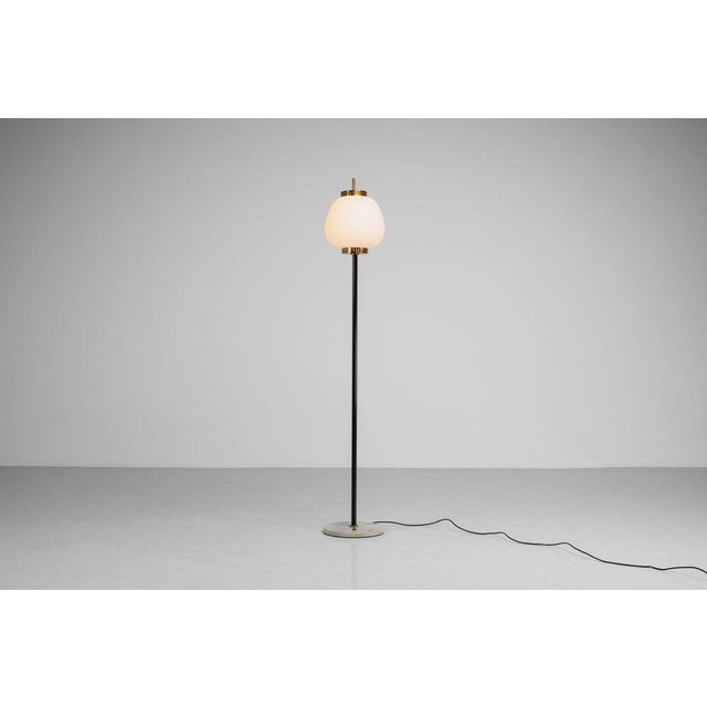 Standard Floor Lamp by Bruno Gatta for Stilnovo, 1951 For Sale - Image 6 of 15