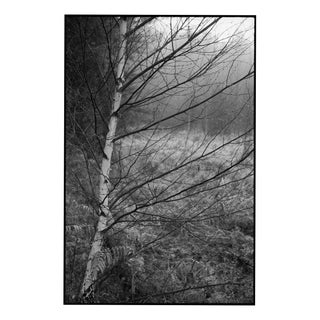 Paul Cooklin, Scan 20211222 93, Edition of 50 For Sale