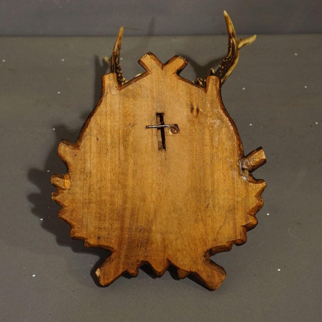 Antique Black Forest Red Deer Trophy on Carved Plaque - Germany Ca. 1910 For Sale - Image 4 of 5
