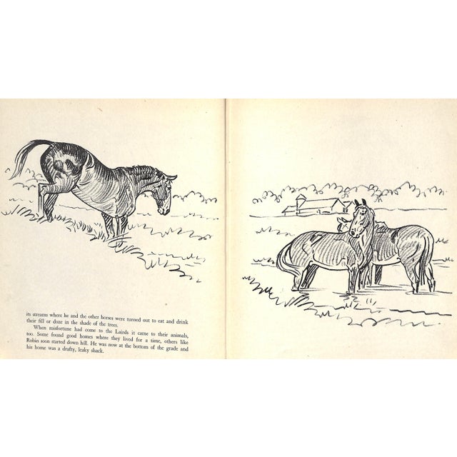 Original 1944 Pencil Drawing From Hi, Guy! The Cinderella Horse by Paul Brown 17 For Sale In New York - Image 6 of 6