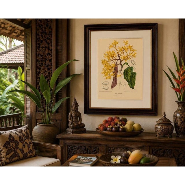 Gold Berthe Hoola van Nooten, Yellow Saraca, 1880, Chromolithograph For Sale - Image 8 of 9
