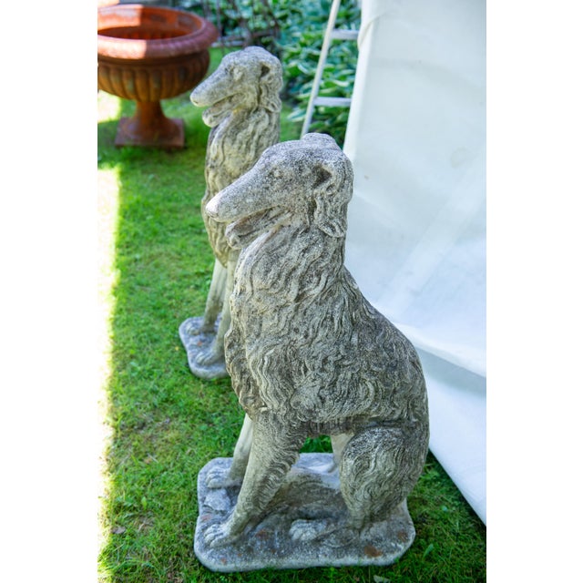 Rustic European Pair of European 1930s Life Size Borzoi Russian Wolfhound Dogs For Sale - Image 3 of 12