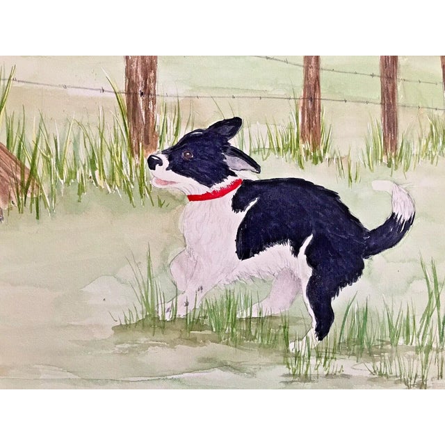 Illustration Original 17" x 13" Watercolor "Badger the Dog" Illustrations by Gail Ross, EUC For Sale - Image 3 of 4