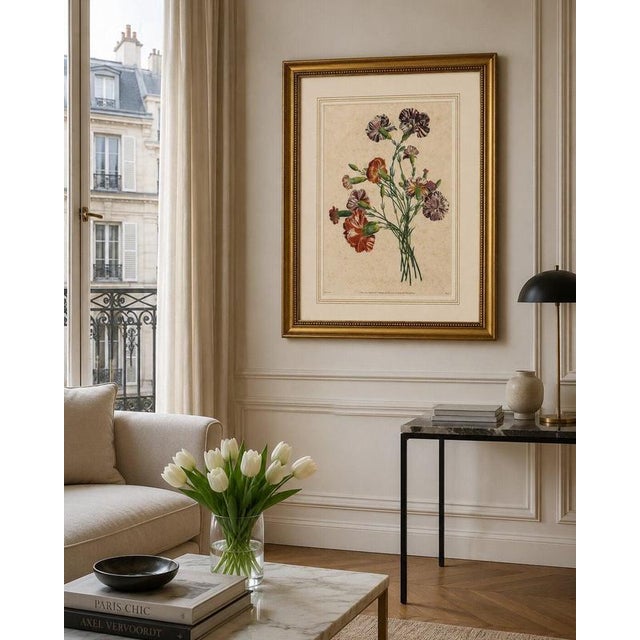 Paper Jean-Louis Prévost, Botanical Print of Carnations, 1805, Paper For Sale - Image 7 of 9