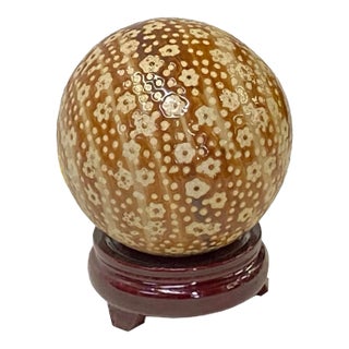 Tan Beige Brown Mix Color Dots Floral Porcelain Round Ball Display Art For Sale