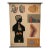 Mid 20th Century German Anatomical Educational Endocrine System Chart For Sale