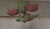 3-Light Florentine Ceiling Lamp with Colored Metal Frame, 1980s For Sale - Image 6 of 8