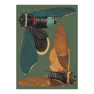 Bugs by Seguy #2 For Sale