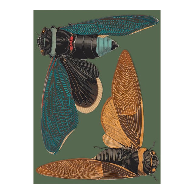 Bugs by Seguy #2 For Sale