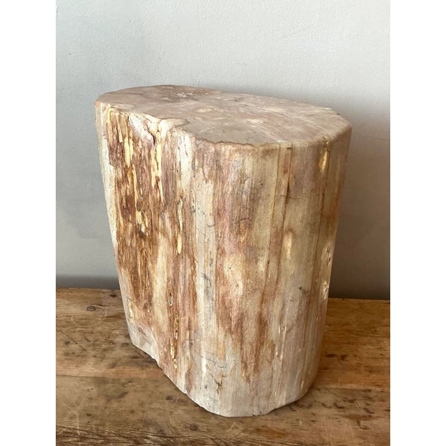 Late 20th Century Vintage Boho Petrified Wood Stool For Sale - Image 5 of 8