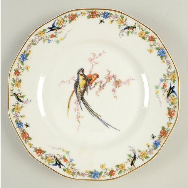 Vintage Mixed Bird Dinner Plates Set of 8 Chairish