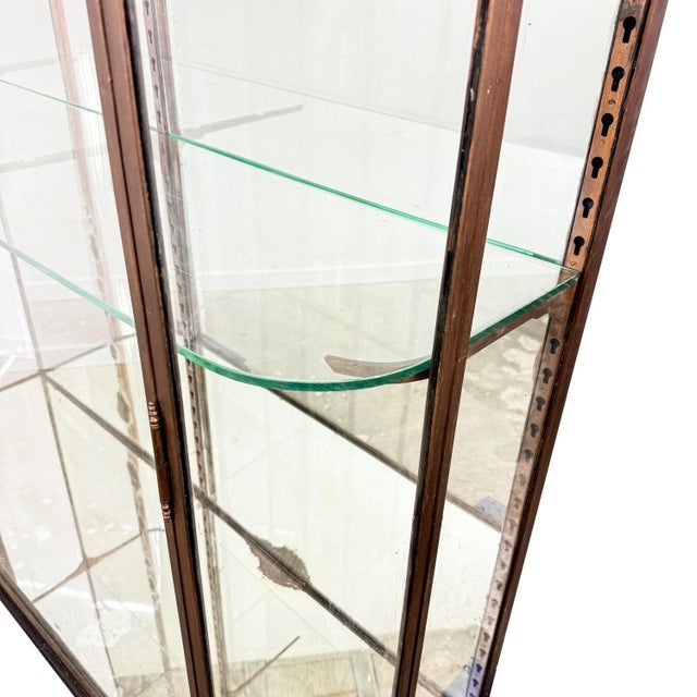 Large Antique Metal Museum Display Cabinet with Curved Glass, 1890s For Sale - Image 10 of 18