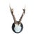 Roe Deer Trophy 210 Black Forest Antlers For Sale