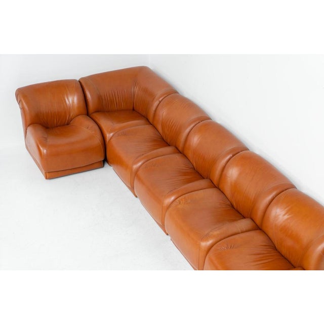 Brown Modular Sofa by Doimo Salotti, Set of 6 For Sale - Image 8 of 18