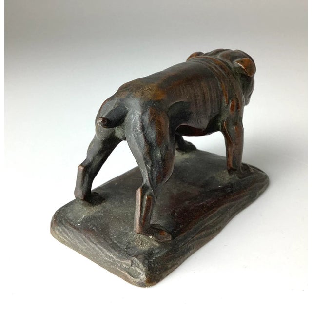 Vintage Bronze English Bulldog Figurine For Sale - Image 4 of 9