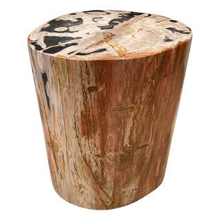 Andrianna Shamaris High Quality Petrified Wood Side Table For Sale