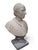 Stone Unknown Artist, Bust of Pope Leo XIII, 19th Century, Alabaster on Later Porcelain Pedestal For Sale - Image 7 of 14