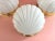 1970s Frosted Glass Scallop Shell Wall Lights - Set of Three For Sale - Image 11 of 18