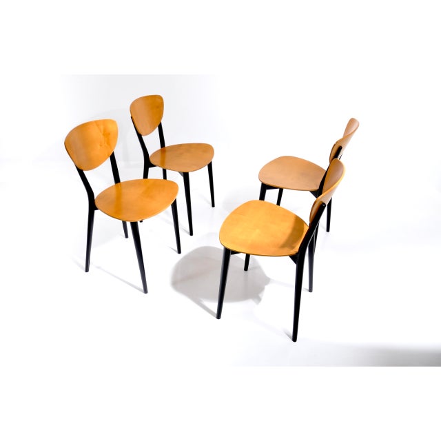 Vintage Swiss Chairs by Kurt Thut, 1953, Set of 4 For Sale - Image 16 of 18