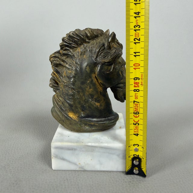 Bronze Sculpture of Achilles' Horse on a Marble Base by R. Santoro, 20th Century For Sale - Image 10 of 11
