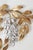 Large Golden Bell Flower Pioggia Doro Wall Lamp attributed to Hans Kögl, 1970s For Sale - Image 6 of 13
