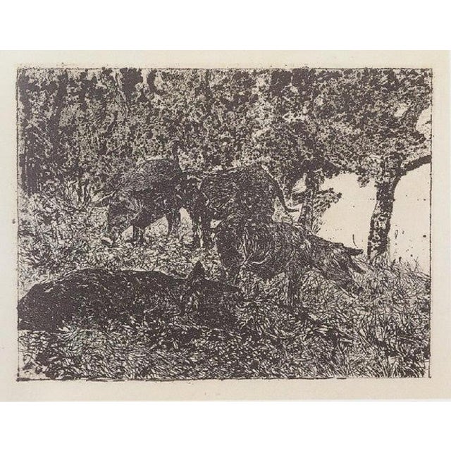 Giovanni FATTORI Group of pigs Etching Dimensions: 13.5x18 cm The work is authenticated by the daughter of the artist...