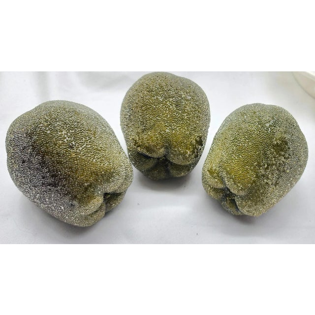 Mid-Century Modern Set of 3 Mid-Century Giant Faux Sugared Green Apples For Sale - Image 3 of 5