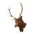 Large Naturalistic Black Forest Carved Stag Head, Ca. 1920s For Sale