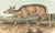 Original first edition Audubon stone lithograph from "The Viviparous Quadrupeds of North America", octavo edition, printed...