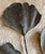 Oversized Sculptural Metal Botanical Wall Art Organic Modern Verdigris Bronze Gingko Leaf For Sale In Philadelphia - Image 6 of 7