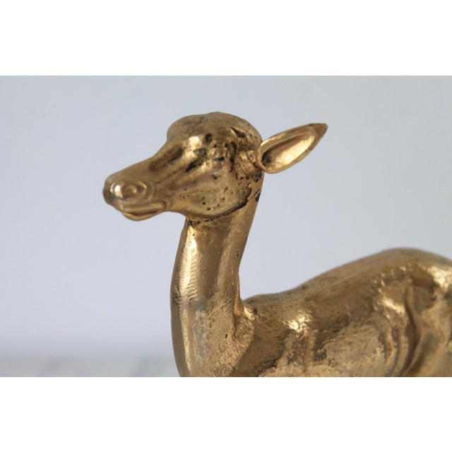 Mid 20th Century Vintage Italian Brass Deer Figurine For Sale - Image 5 of 13