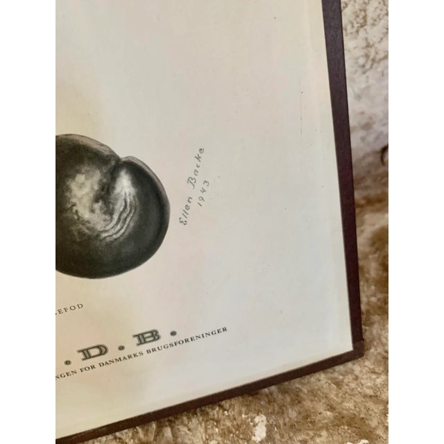 Vintage Botanical Danish Seed Catalog Lithograph Poster No. 6, New Old Stock For Sale - Image 9 of 12