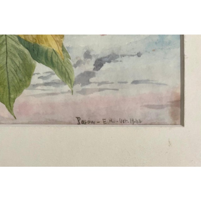 Charles De Wolf Brownell, Maple Leaves Watercolor Painting 19th C. American Artist Charles DeWolf Brownell, 1902 For Sale - Image 4 of 13