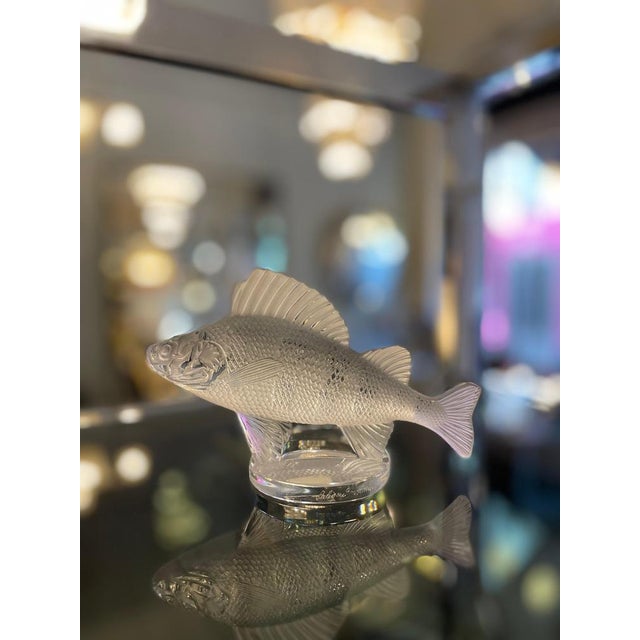 Crystal Fish Figurine by Lalique For Sale - Image 3 of 10
