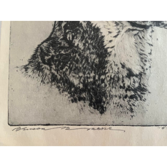 1930s Vintage Original Etching of a German Shepherd Dog by Benson Moore For Sale - Image 5 of 6